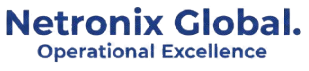 netronixglobal.com