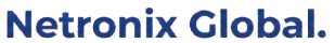 netronixglobal.com